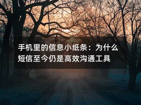 手机里的信息小纸条:为什么短信至今仍是高效沟通工具