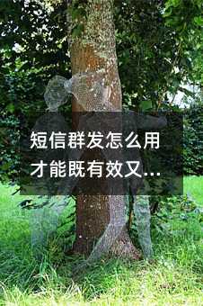 ����Ⱥ����ô�ò��ܼ���Ч�ֵ��壿��Щ����ֵ���ղ�