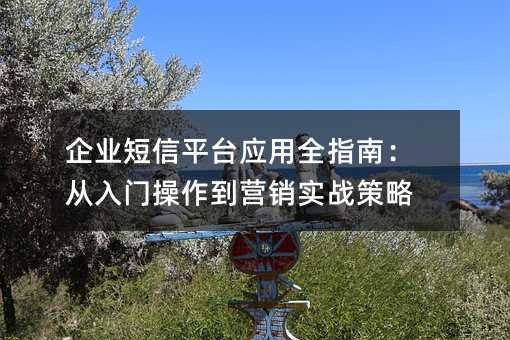 企业短信平台应用全指南:从入门操作到营销实战策略