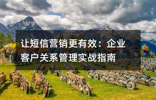 让短信营销更有效:企业客户关系管理实战指南