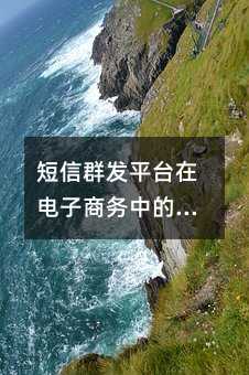 ����Ⱥ��ƽ̨�ڵ��������еļ�ֵ��ʵ��