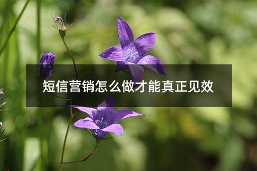 ����Ӫ����ô������������Ч