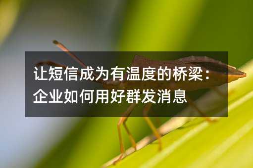 让短信成为有温度的桥梁:企业如何用好群发消息
