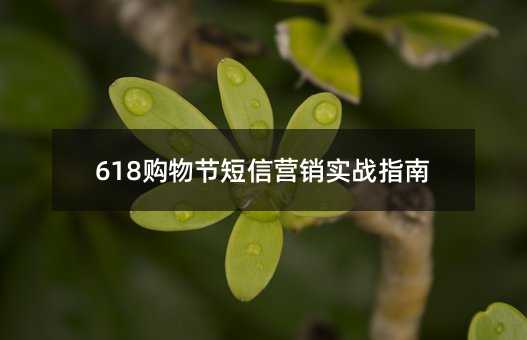 618购物节短信营销实战指南