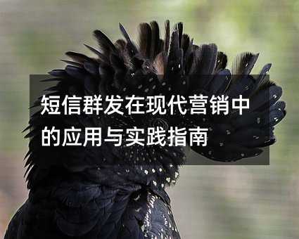短信群发在现代营销中的应用与实践指南