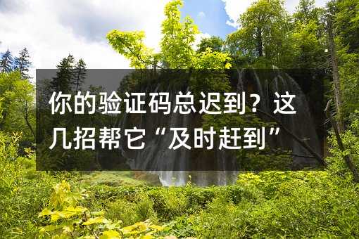 你的验证码总迟到?这几招帮它“及时赶到”