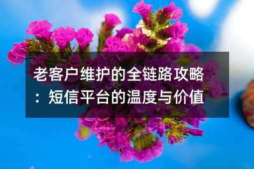 老客户维护的全链路攻略:短信平台的温度与价值