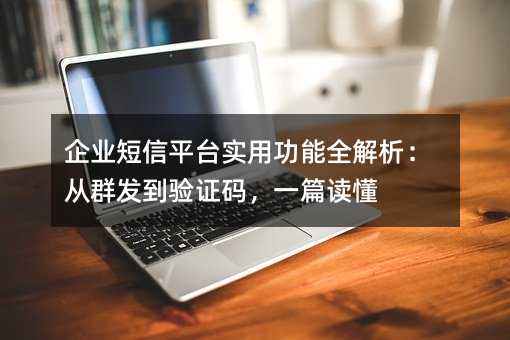 企业短信平台实用功能全解析:从群发到验证码,一篇读懂