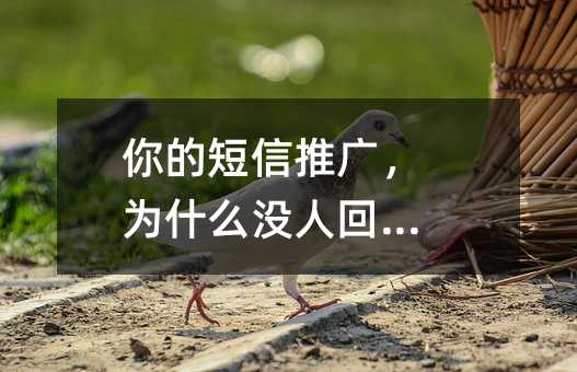 你的短信推广,为什么没人回应?