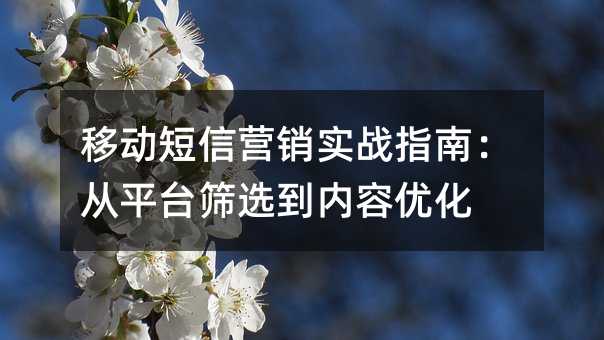 移动短信营销实战指南:从平台筛选到内容优化