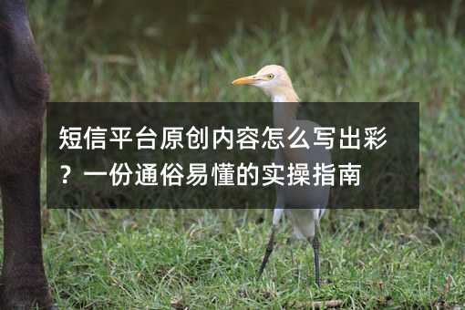 短信平台原创内容怎么写出彩?一份通俗易懂的实操指南