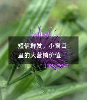 短信群发,小窗口里的大营销价值