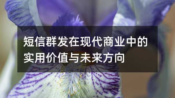 短信群发在现代商业中的实用价值与未来方向