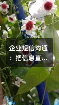 企业短信沟通:把信息直接送到用户手中