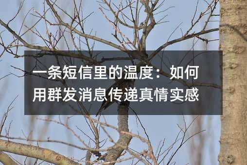 一条短信里的温度:如何用群发消息传递真情实感