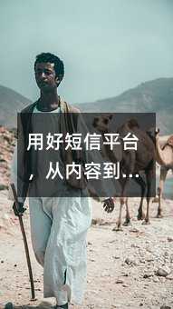 用好短信平台,从内容到策略的实用指南