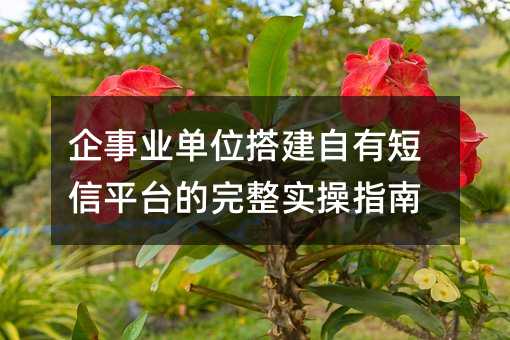 企事业单位搭建自有短信平台的完整实操指南