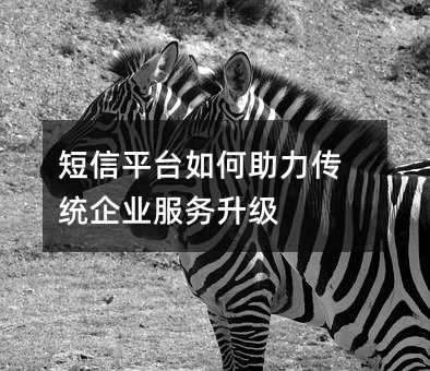 短信平台如何助力传统企业服务升级