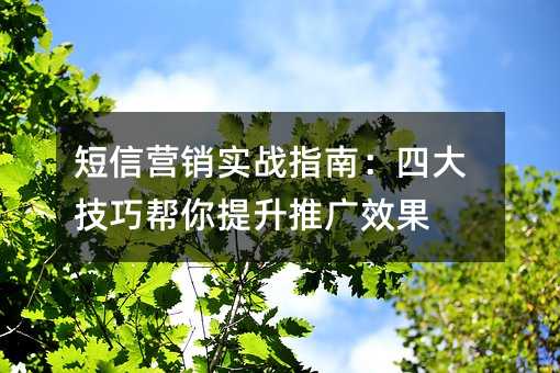 ����Ӫ��ʵսָ�ϣ��Ĵ��ɰ��������ƹ�Ч��
