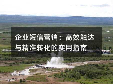 企业短信营销:高效触达与精准转化的实用指南
