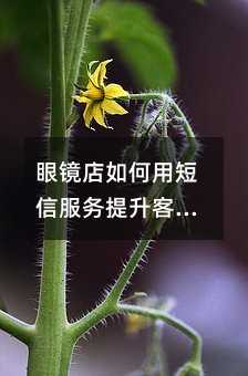 眼镜店如何用短信服务提升客户回头率