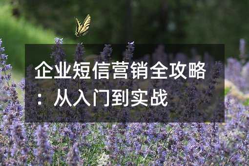 企业短信营销全攻略:从入门到实战