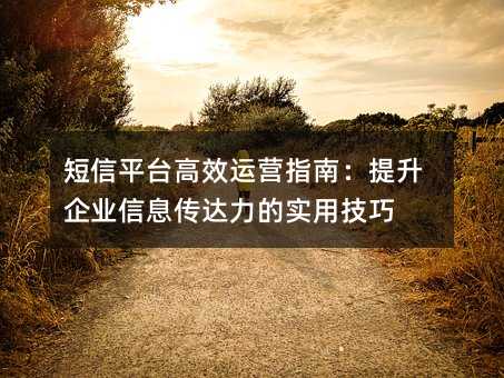 短信平台高效运营指南:提升企业信息传达力的实用技巧