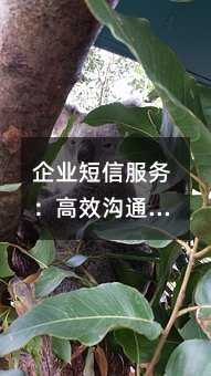 企业短信服务:高效沟通的实用工具