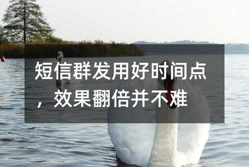 短信群发用好时间点,效果翻倍并不难