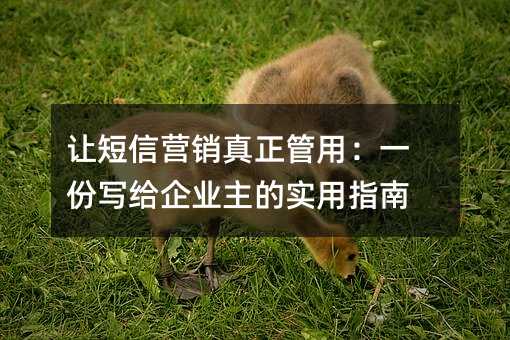 让短信营销真正管用:一份写给企业主的实用指南