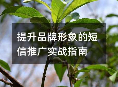 提升品牌形象的短信推广实战指南