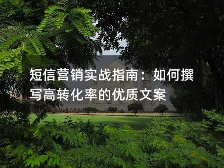 短信营销实战指南:如何撰写高转化率的优质文案