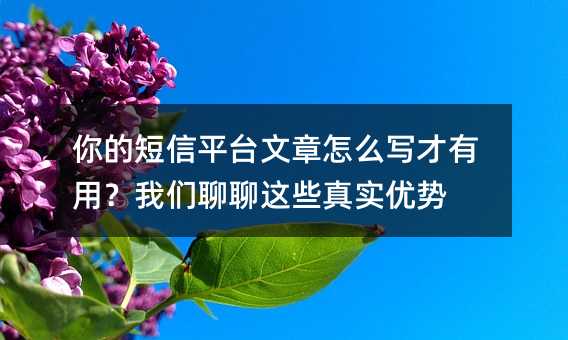 你的短信平台文章怎么写才有用?我们聊聊这些真实优势