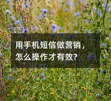 用手机短信做营销,怎么操作才有效?