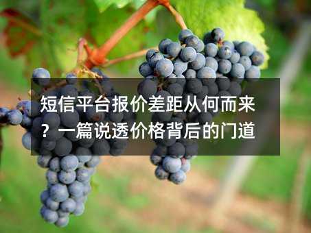 短信平台报价差距从何而来?一篇说透价格背后的门道
