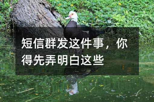 短信群发这件事,你得先弄明白这些