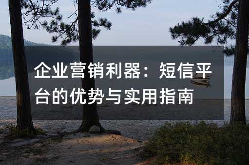 企业营销利器:短信平台的优势与实用指南