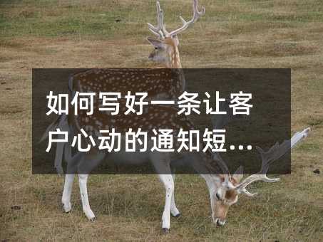 如何写好一条让客户心动的通知短信?