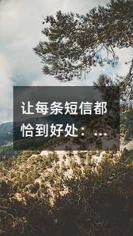 让每条短信都恰到好处:企业短信沟通的实用指南