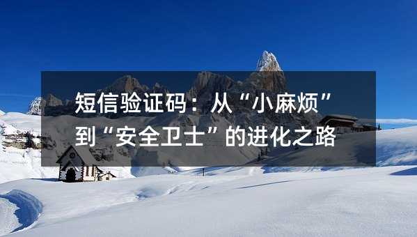 短信验证码:从“小麻烦”到“安全卫士”的进化之路