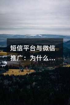 短信平台与微信推广:为什么短信依然是企业营销的“压舱石”