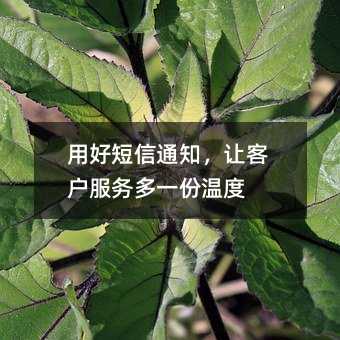 用好短信通知,让客户服务多一份温度