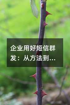 企业用好短信群发:从方法到技巧的实用指南