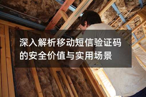 深入解析移动短信验证码的安全价值与实用场景