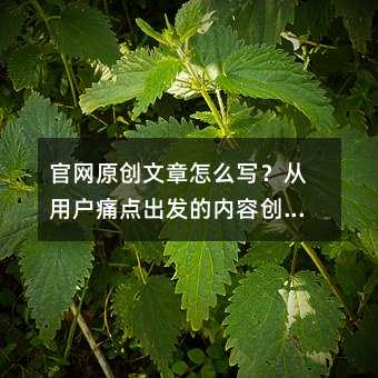 ¹ÙÍøÔ´´ÎÄÕÂÔõôд£¿´ÓÓû§Í´µã³ö·¢µÄÄÚÈÝ´´×÷˼·