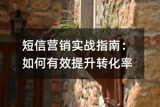 短信营销实战指南:如何有效提升转化率