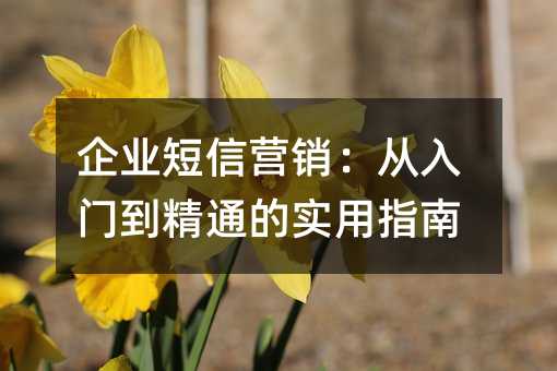 企业短信营销:从入门到精通的实用指南