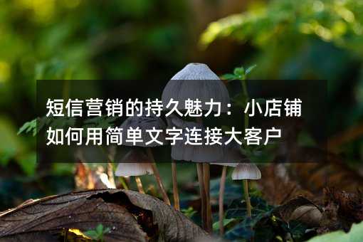 短信营销的持久魅力:小店铺如何用简单文字连接大客户