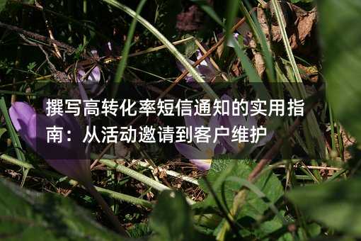 撰写高转化率短信通知的实用指南:从活动邀请到客户维护