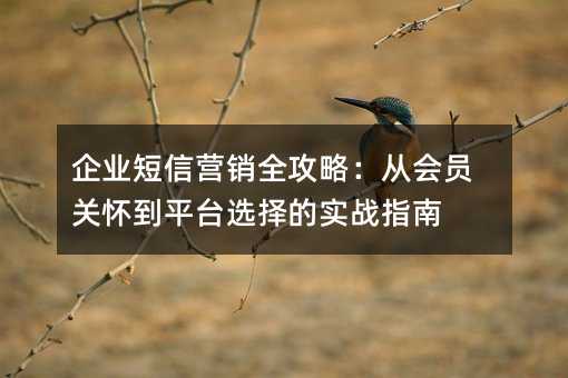 企业短信营销全攻略:从会员关怀到平台选择的实战指南